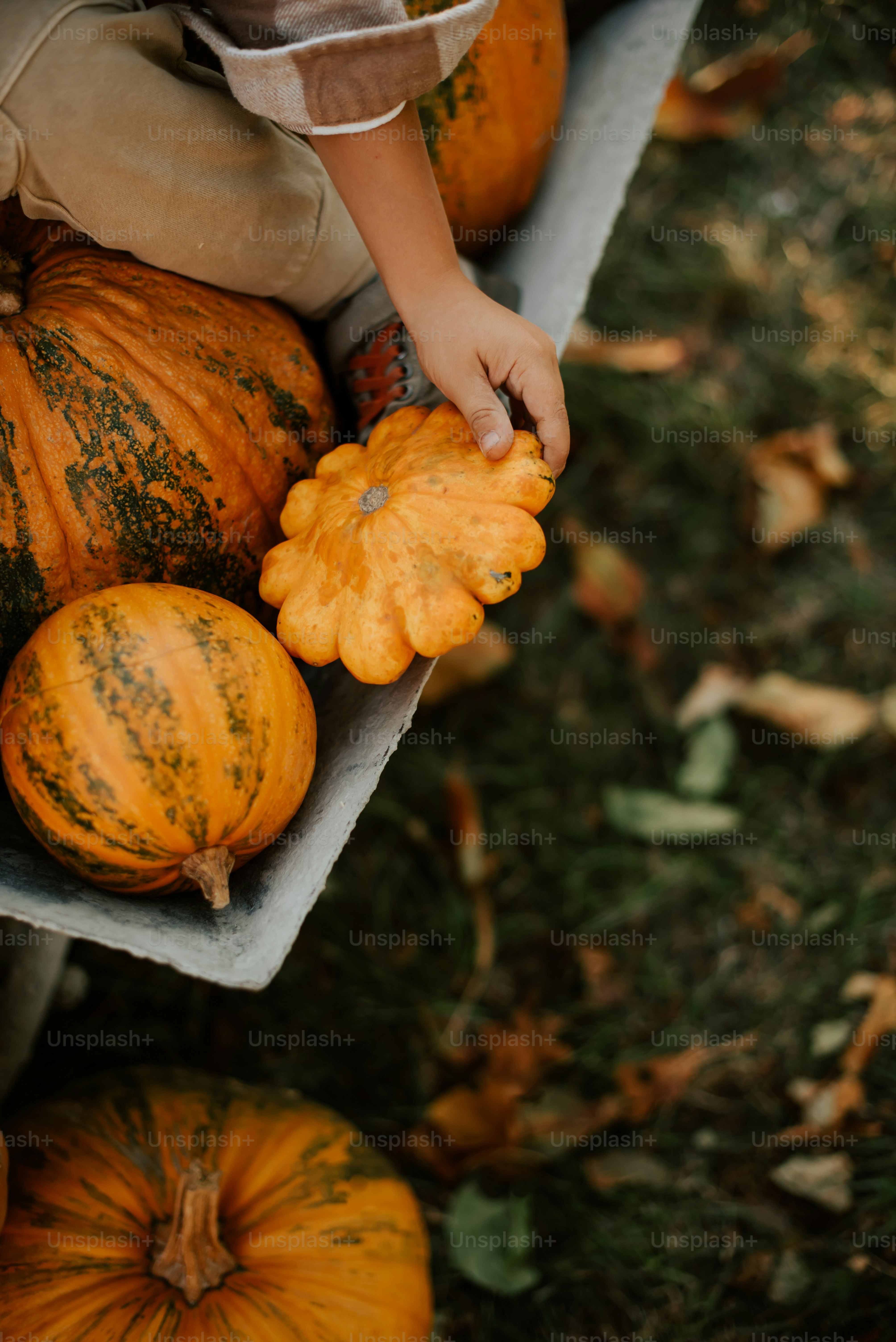 Cuando el Tiempo se Convirtió en Historia - La Era Humana