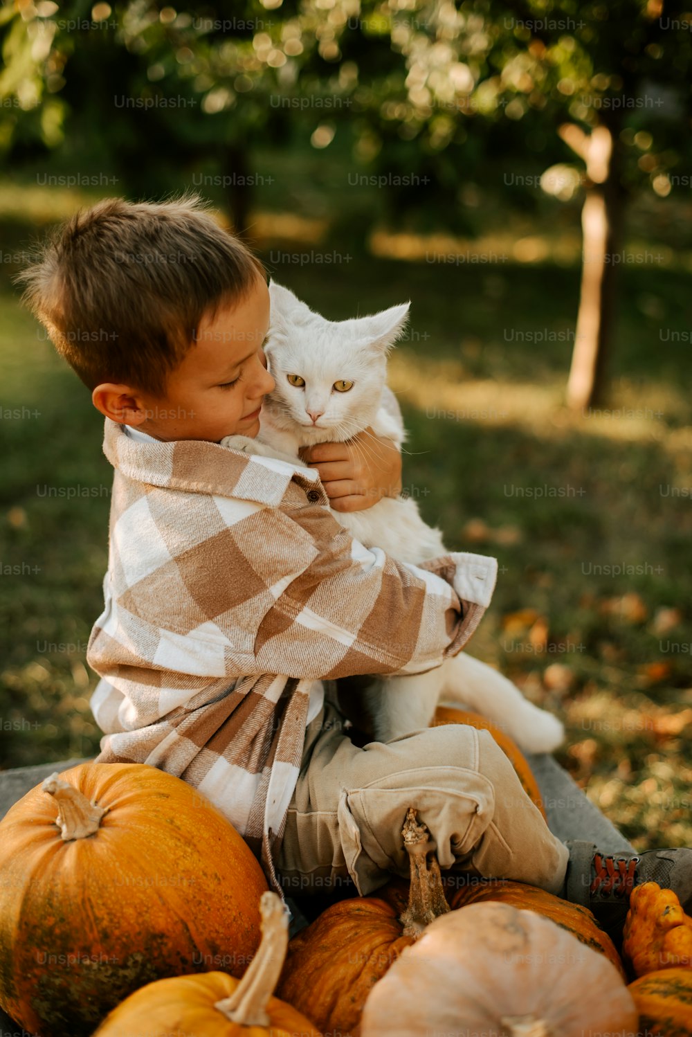 a young boy holding a white cat sitting on top of a pile of pumpkins
