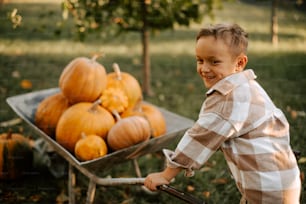 a young boy pushing a wheelbarrow full of pumpkins