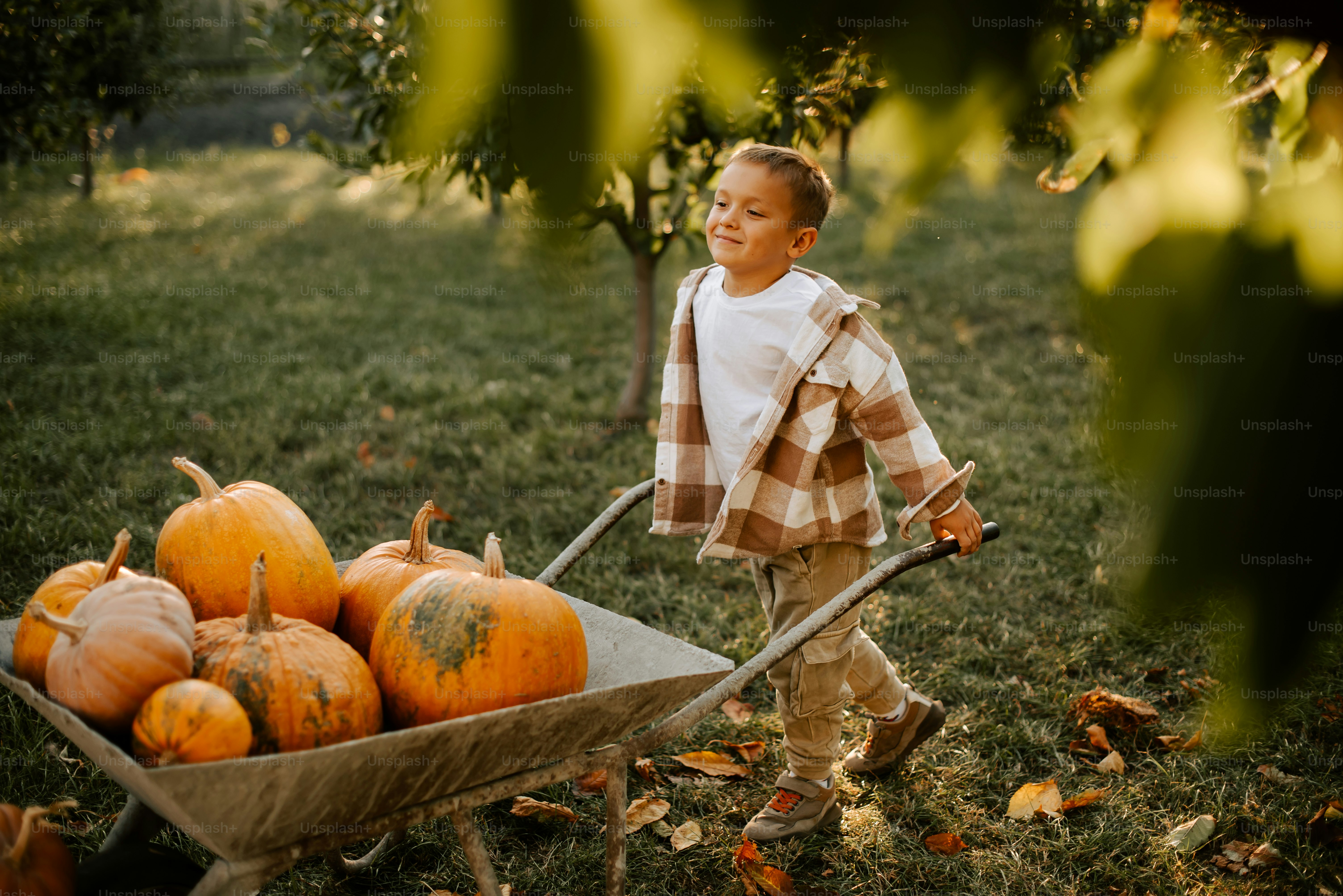 a young boy pushing a wheelbarrow full of pumpkins