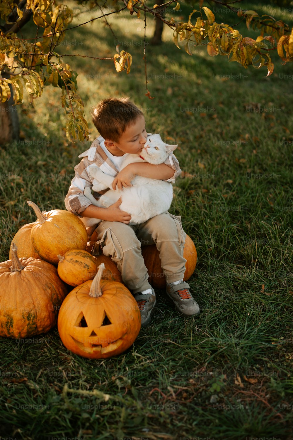 a little boy sitting on a pile of pumpkins