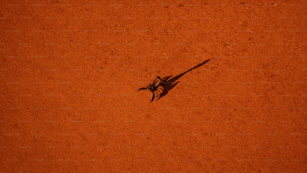Ein Schatten einer Person auf einem Tennisplatz