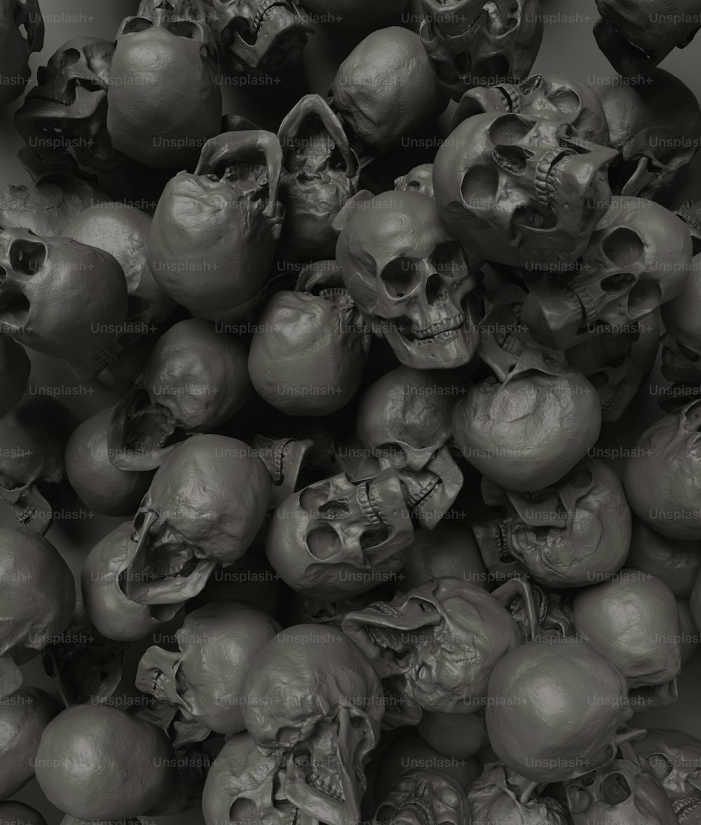 a pile of skulls sitting next to each other