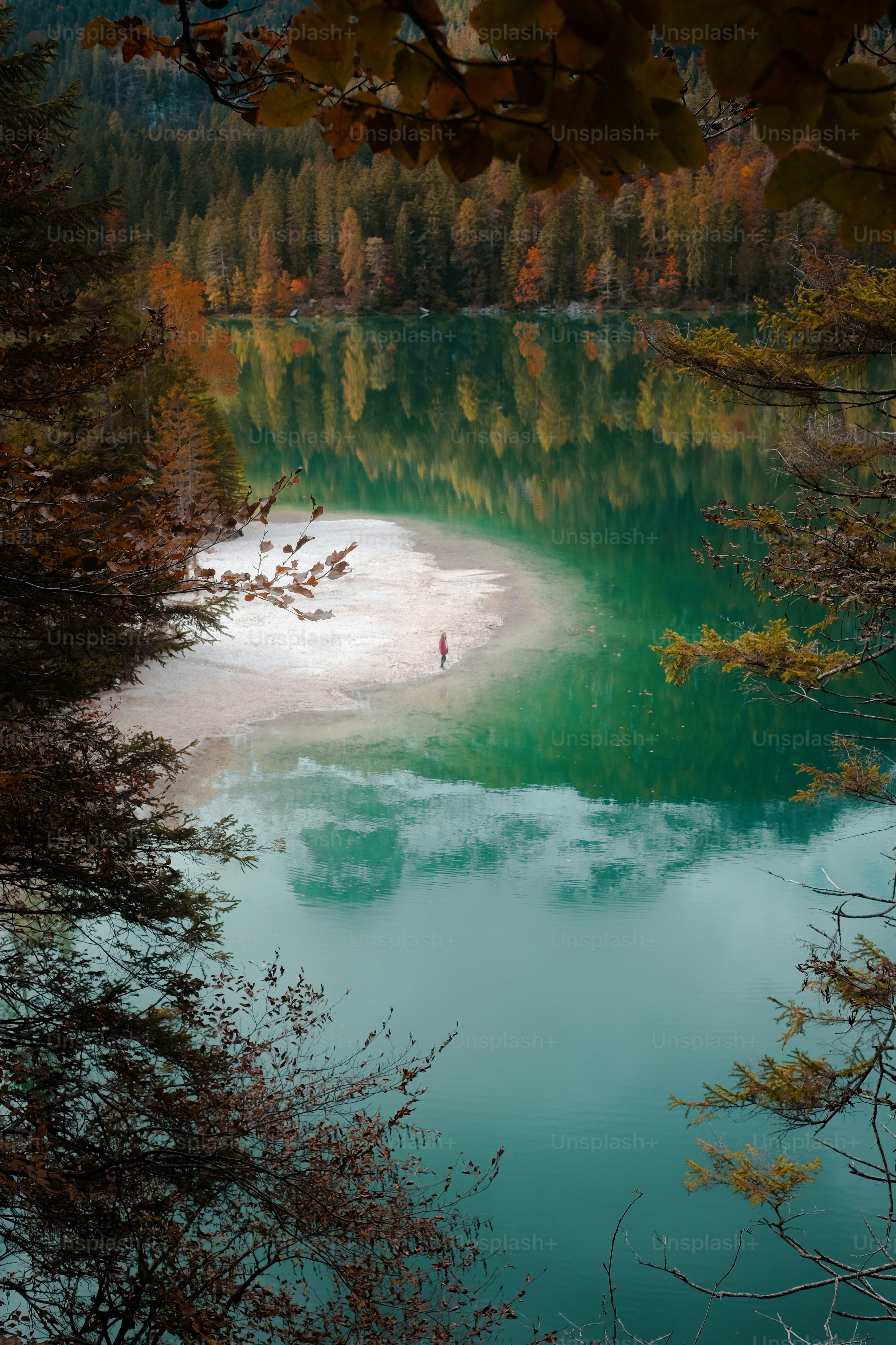 a body of water surrounded by trees
