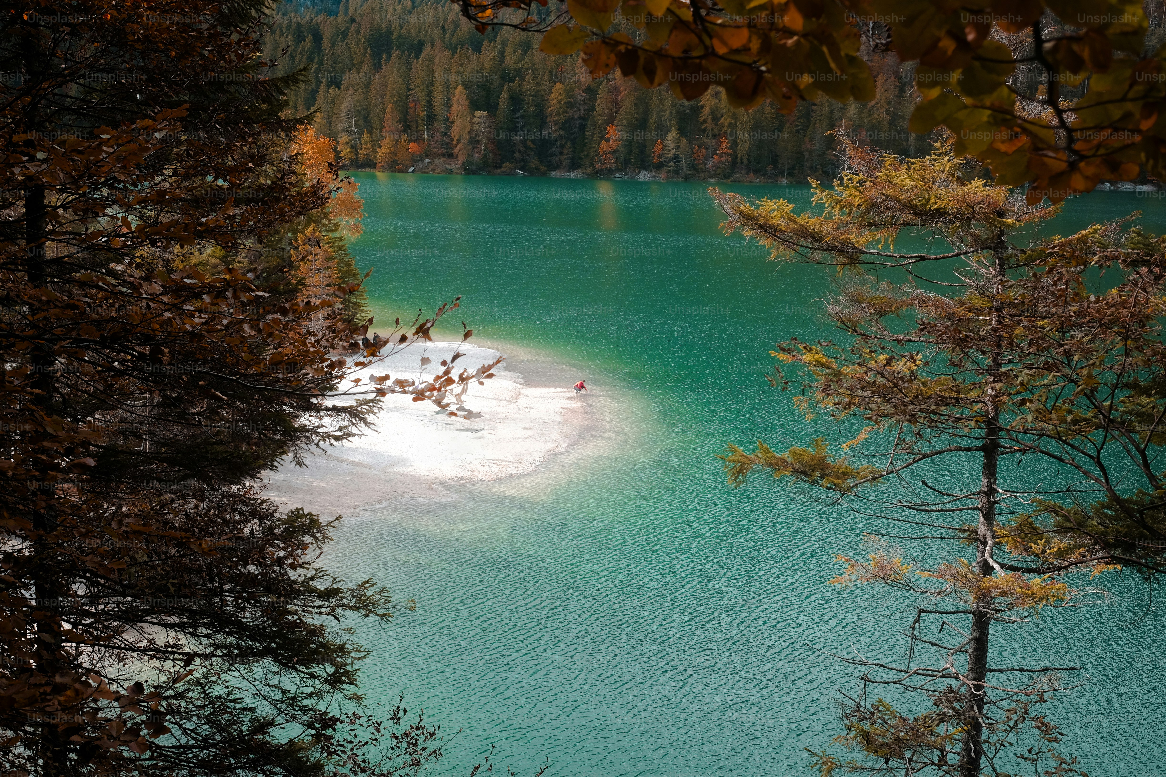 a large body of water surrounded by trees