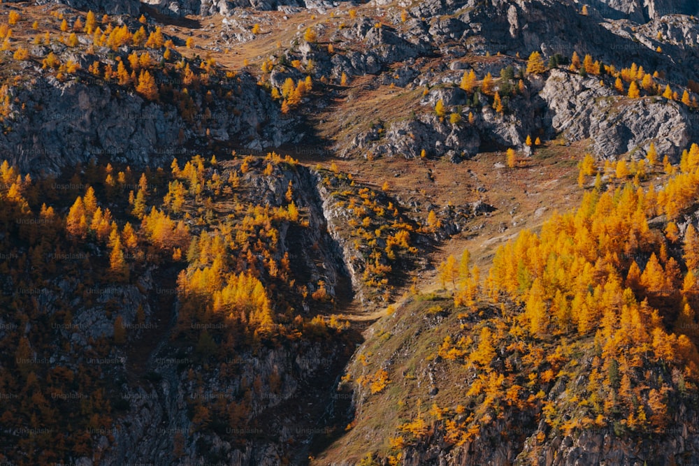 Una vista de una montaña con árboles amarillos en primer plano
