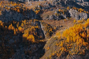uma vista de uma montanha com árvores amarelas em primeiro plano