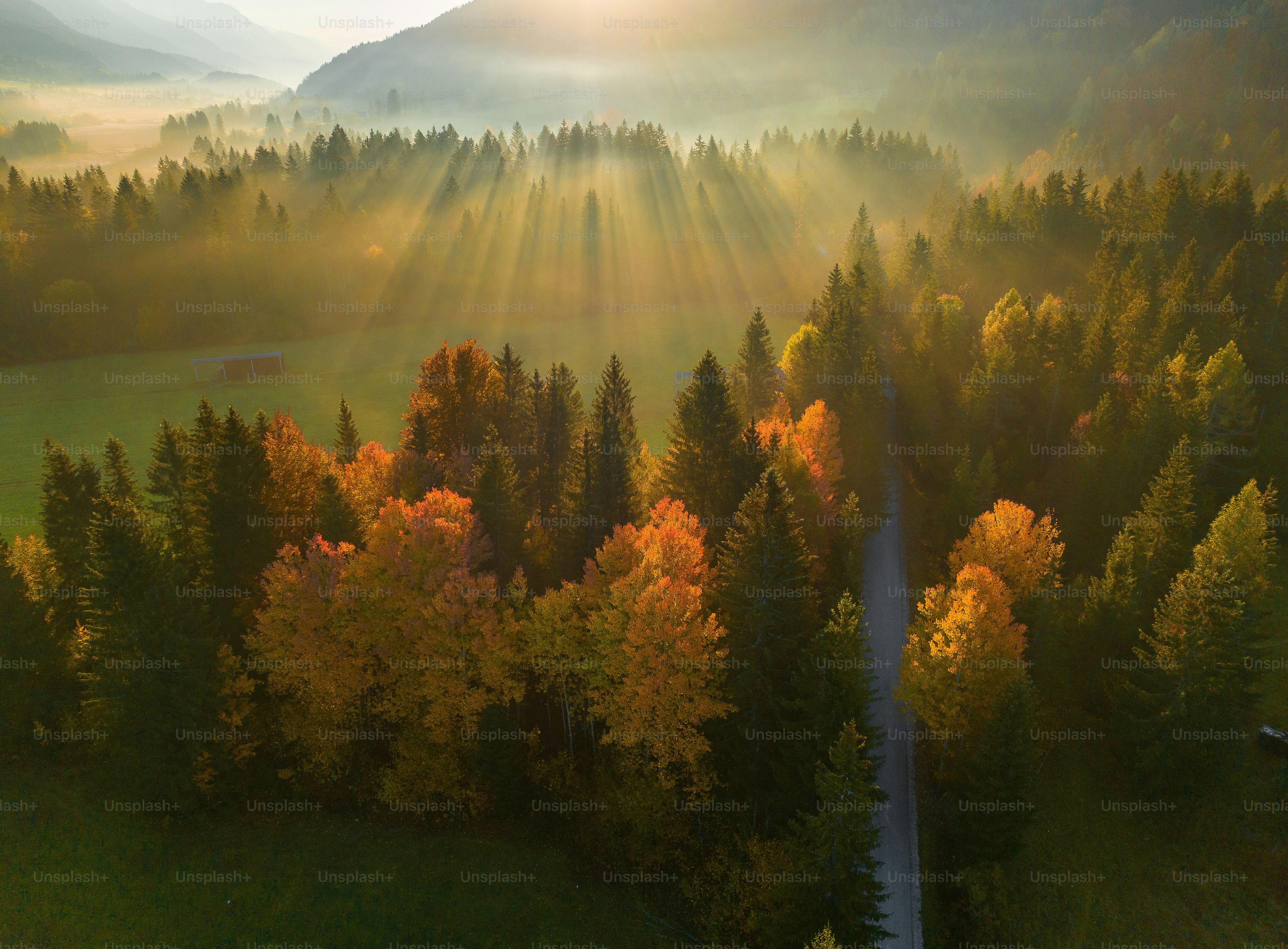 the sun shines through the trees in the mountains