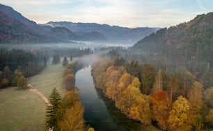 an aerial view of a river surrounded by trees