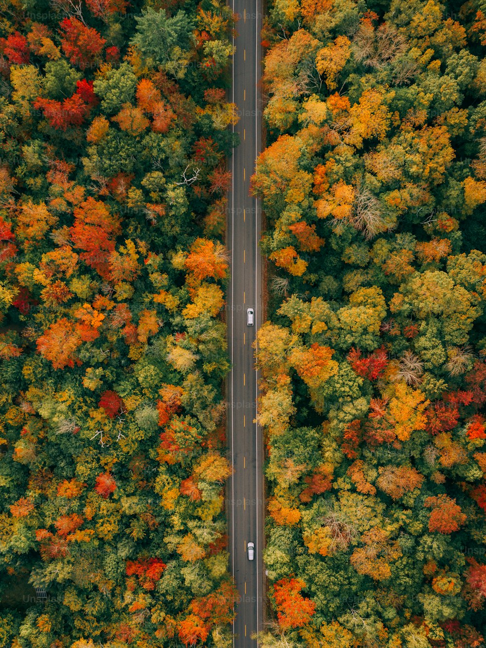 an aerial view of a road surrounded by trees