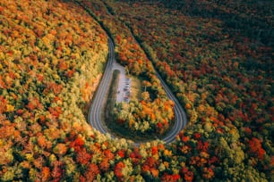 an aerial view of a winding road surrounded by trees