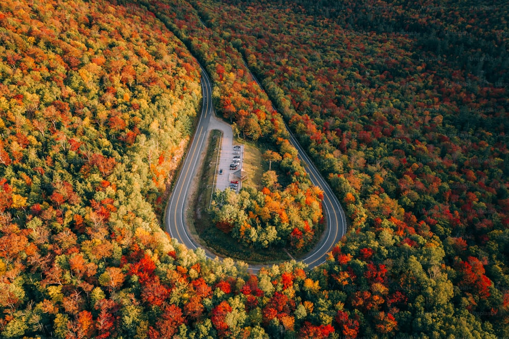 Una vista aérea de una carretera sinuosa rodeada de árboles