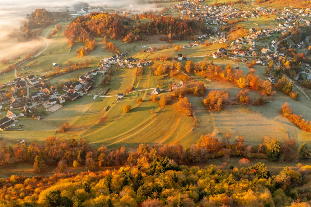 an aerial view of a town surrounded by trees