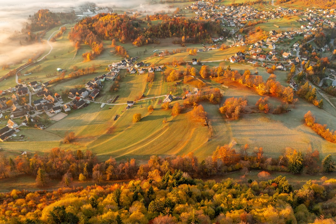 an aerial view of a town surrounded by trees
