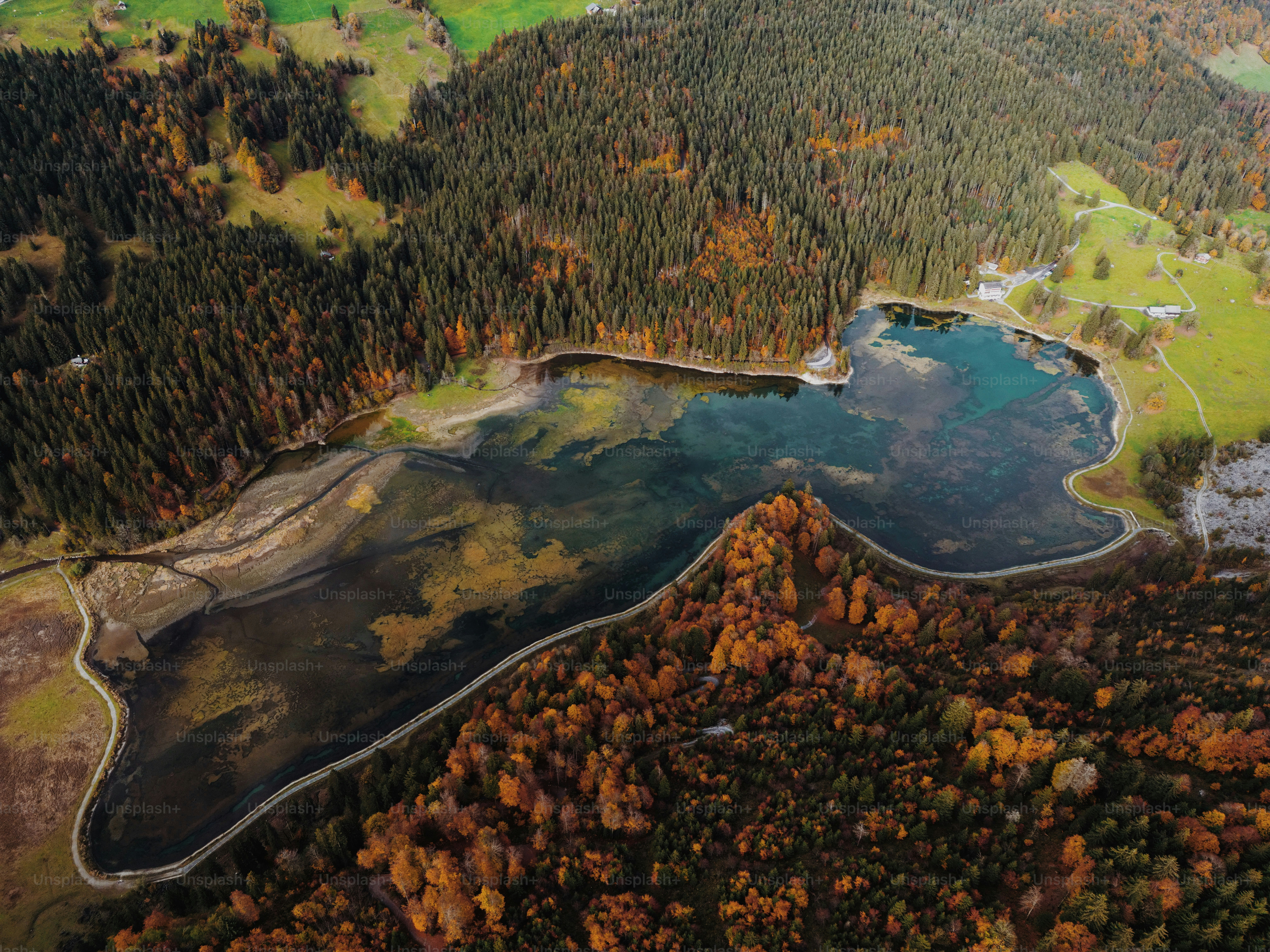 An aerial view of a lake surrounded by trees photo – Forest Image on ...