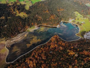 an aerial view of a lake surrounded by trees