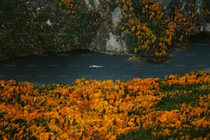 a boat in a lake surrounded by trees