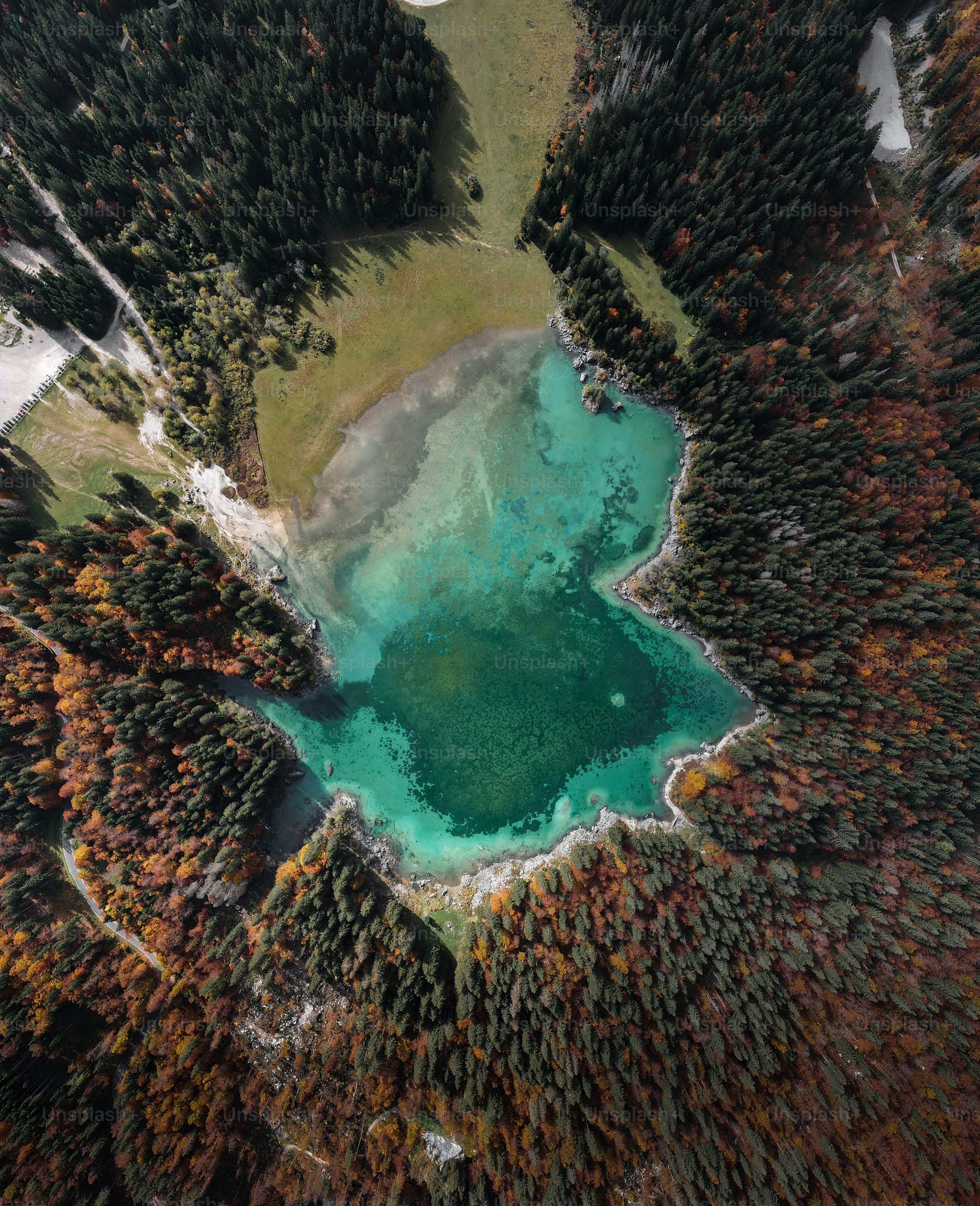 Luftaufnahme eines von Bäumen umgebenen Sees