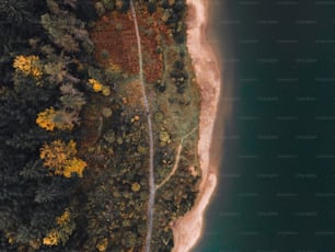 Vista aérea de uma praia e de um corpo d'água