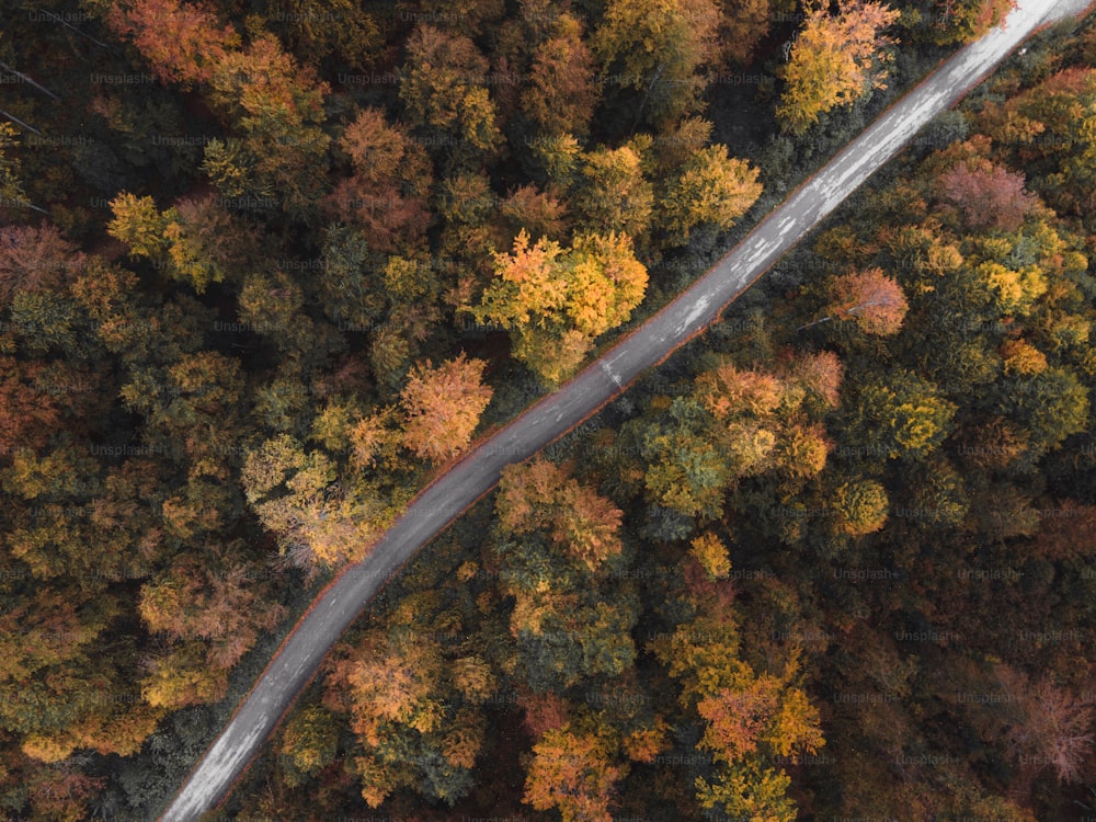 an aerial view of a road surrounded by trees