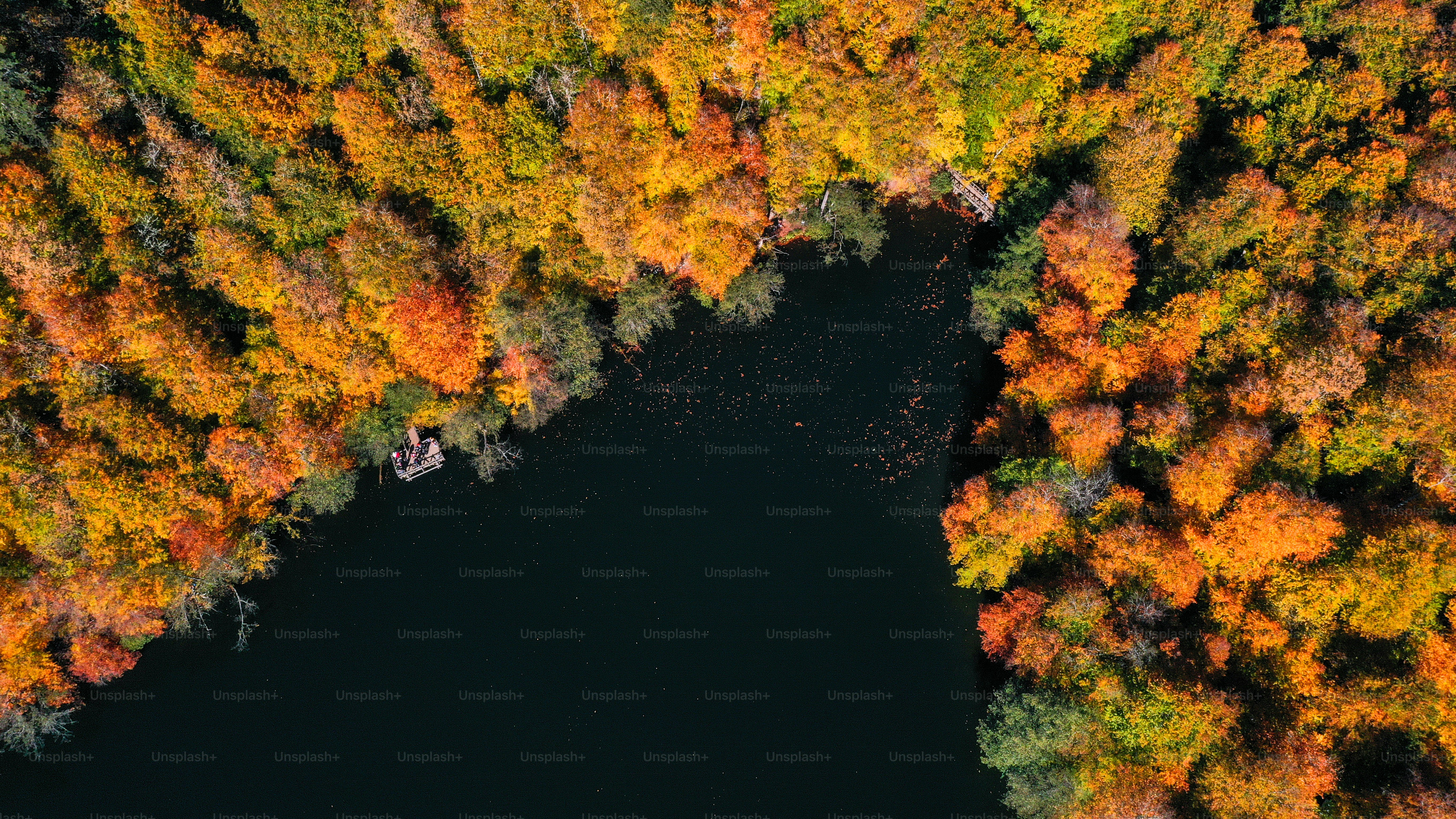 An aerial view of a lake surrounded by trees photo – Fall Image on Unsplash
