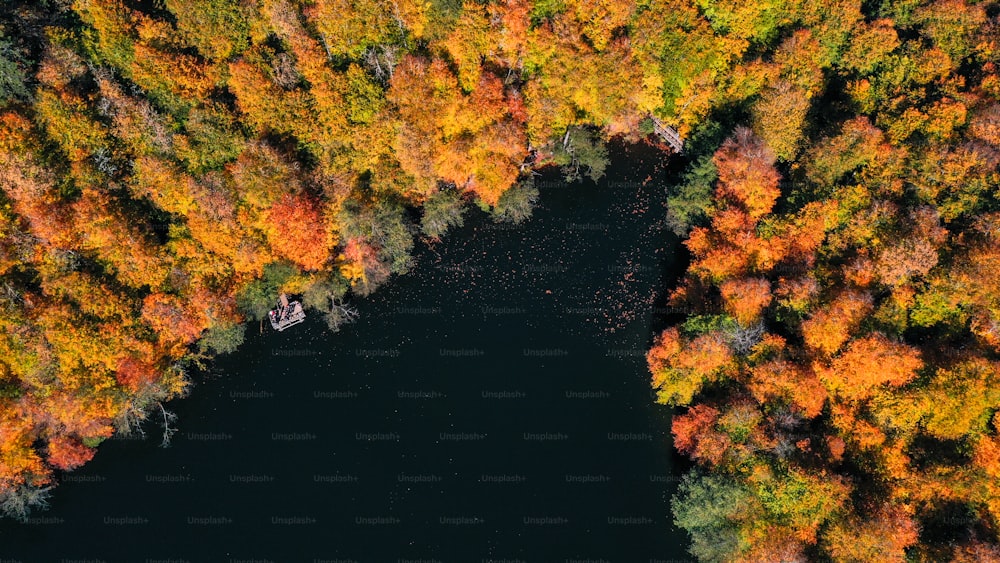 an aerial view of a lake surrounded by trees