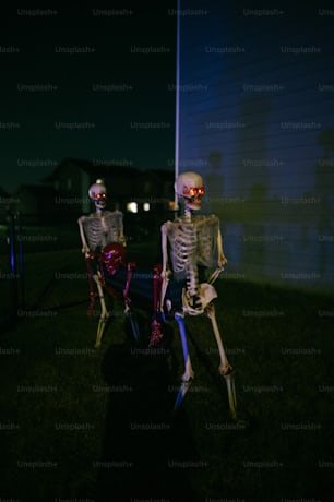 a couple of skeletons sitting on top of a bench