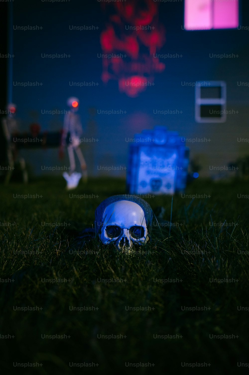 a fake human skull laying in the grass
