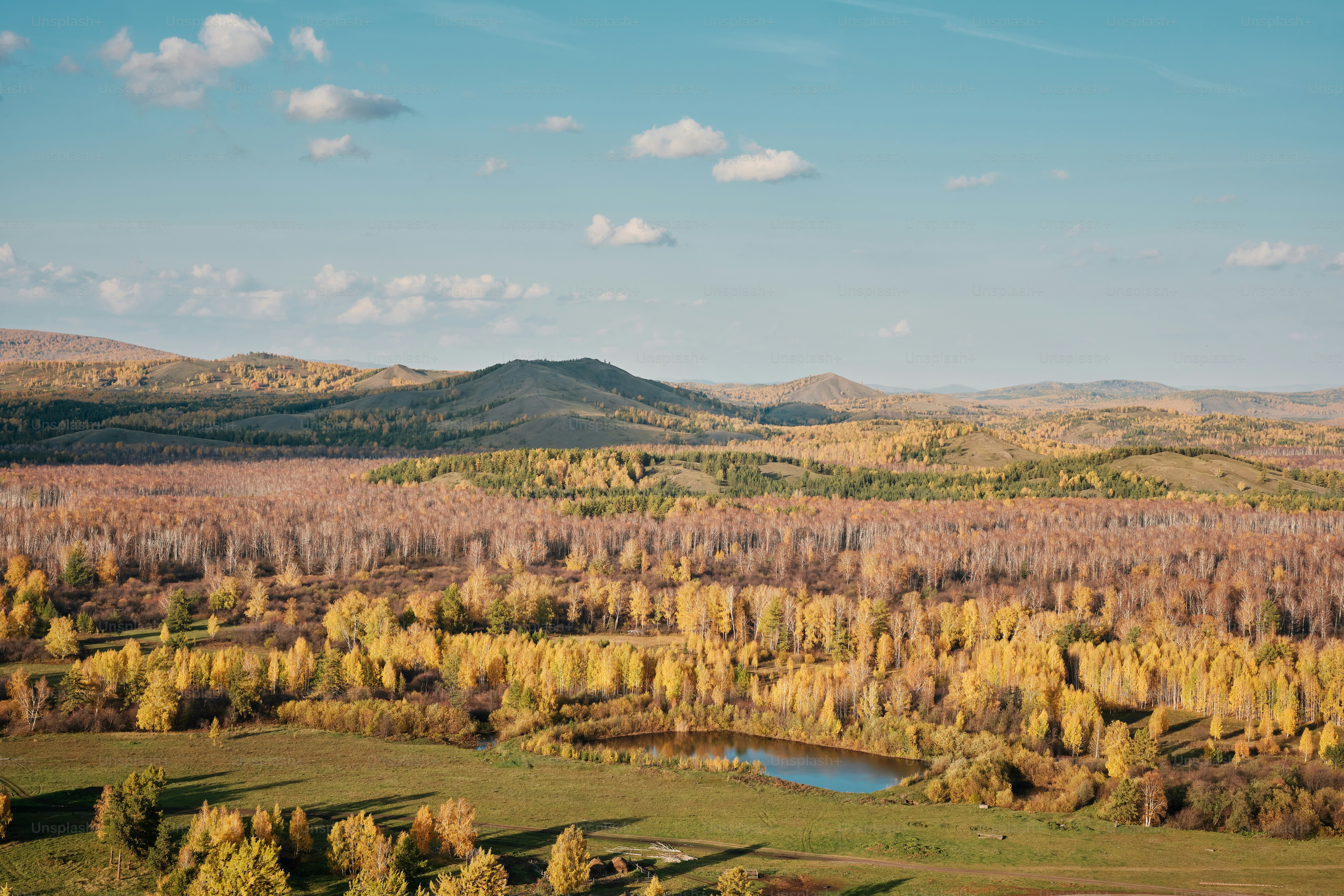 Una vista panorámica de un bosque con un lago en el medio