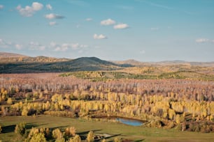 Una vista panorámica de un bosque con un lago en el medio