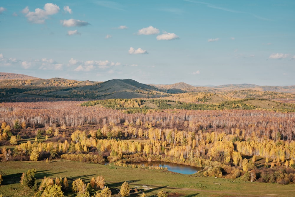 Una vista panorámica de un bosque con un lago en el medio