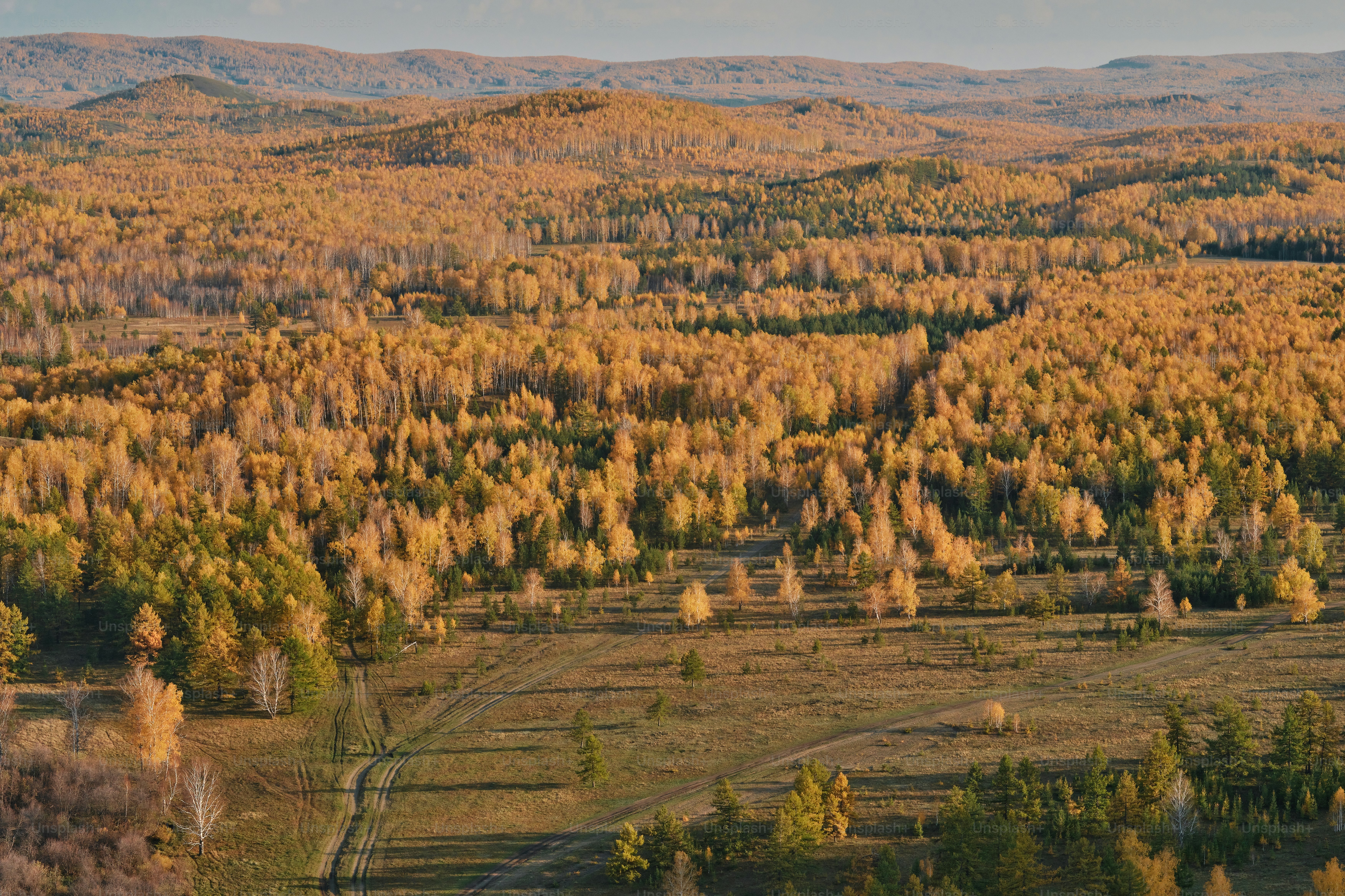 Autumn landscape