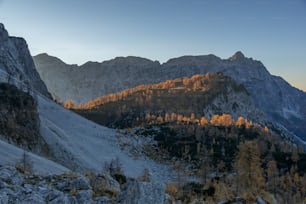 a view of a mountain range with trees in the foreground