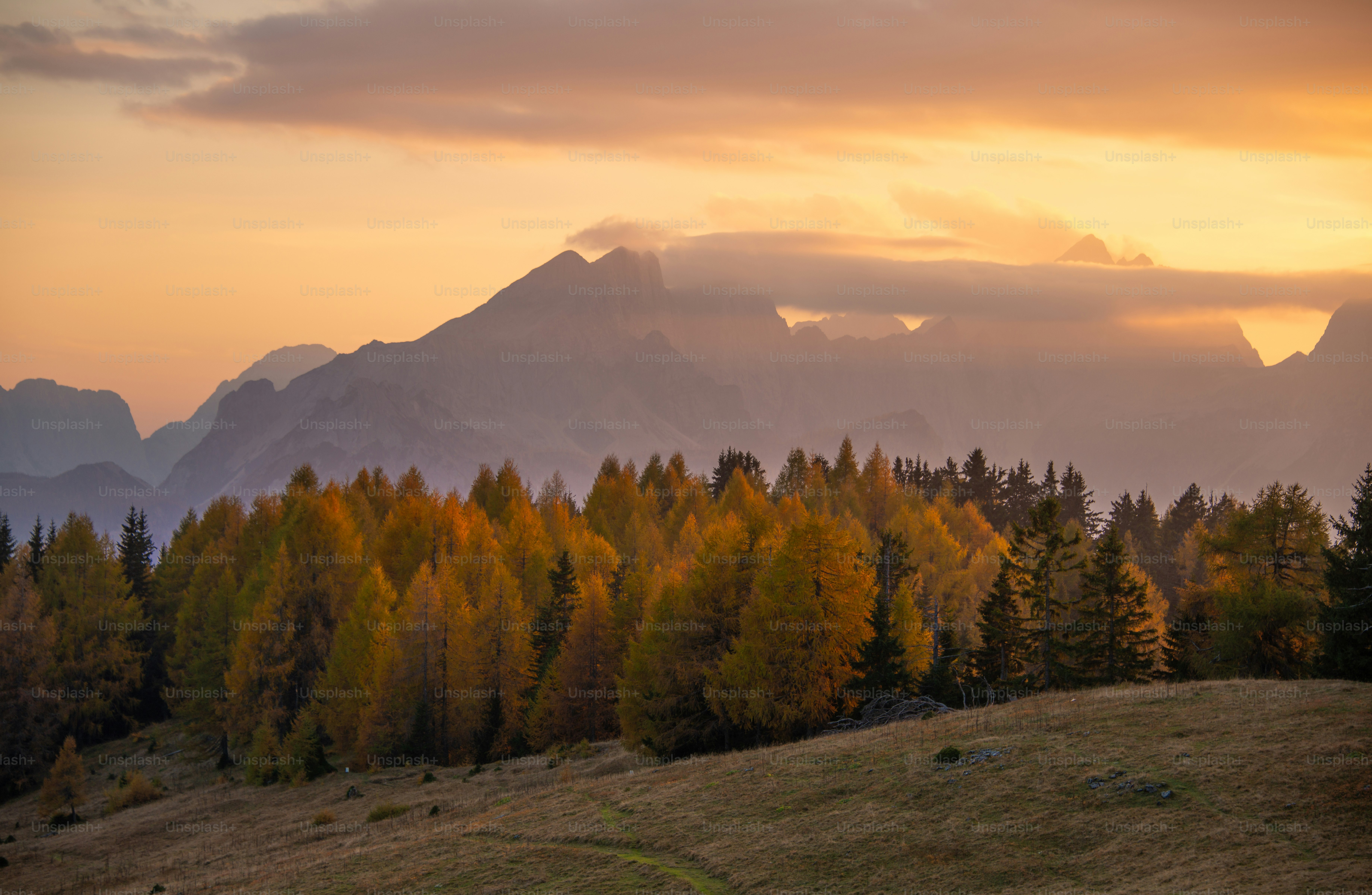 The sun is setting over the mountains with trees in the foreground ...