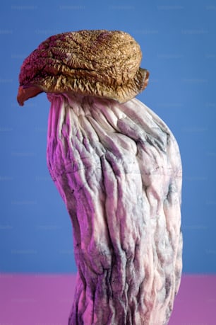 a sculpture of a bird with a hat on it's head