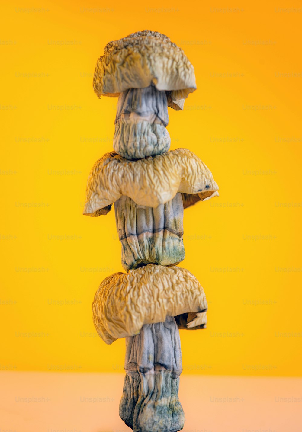 a stack of mushrooms sitting on top of a table