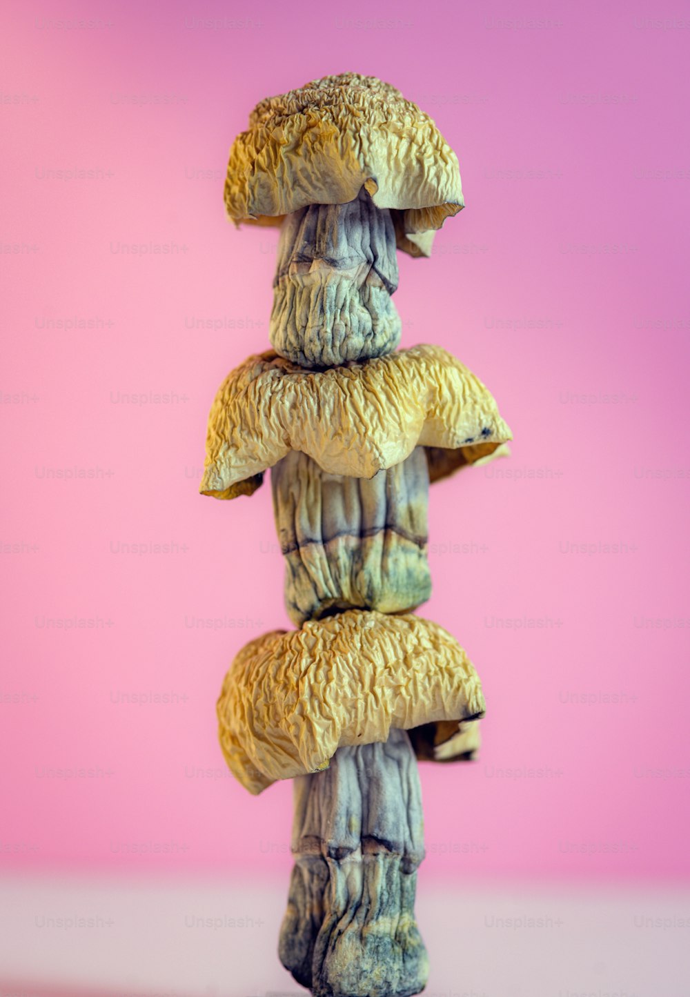 uma pilha de cogumelos sentados uns sobre os outros