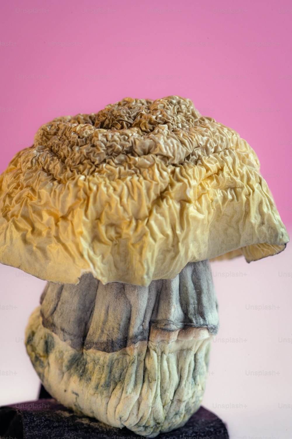 a sculpture of a mushroom on a black base