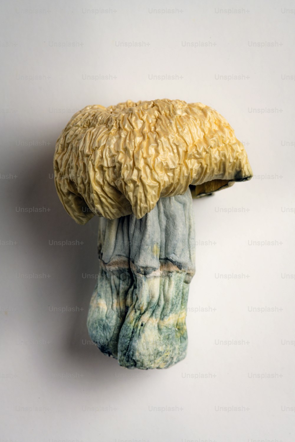 uma escultura de um cogumelo está pendurada em uma parede