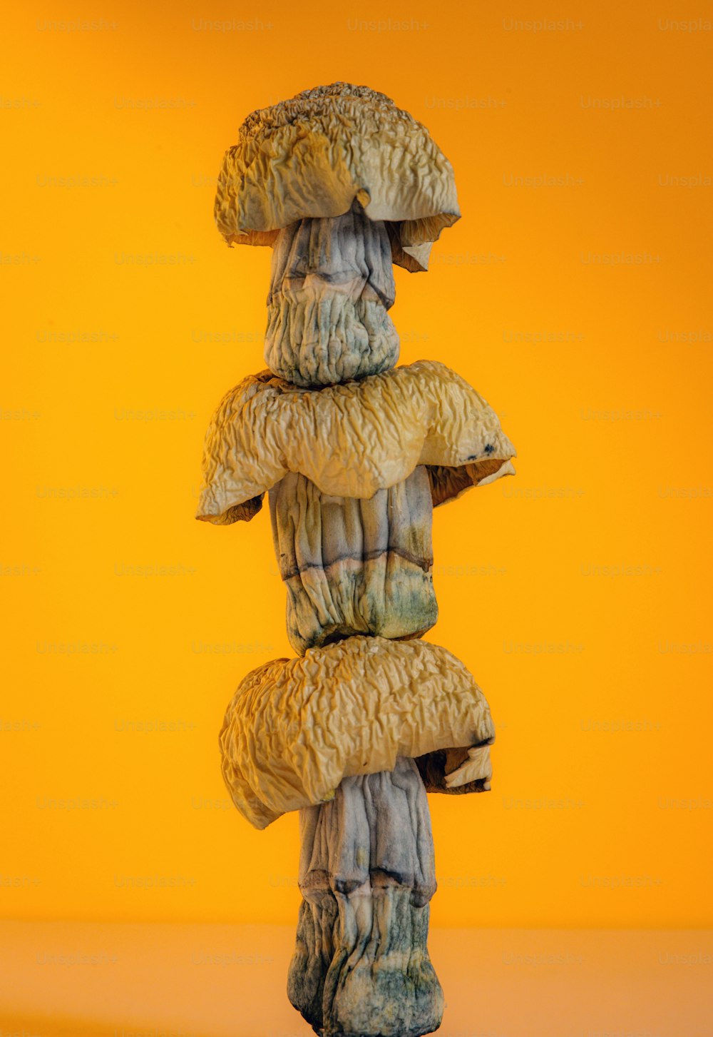 a stack of mushrooms sitting on top of each other