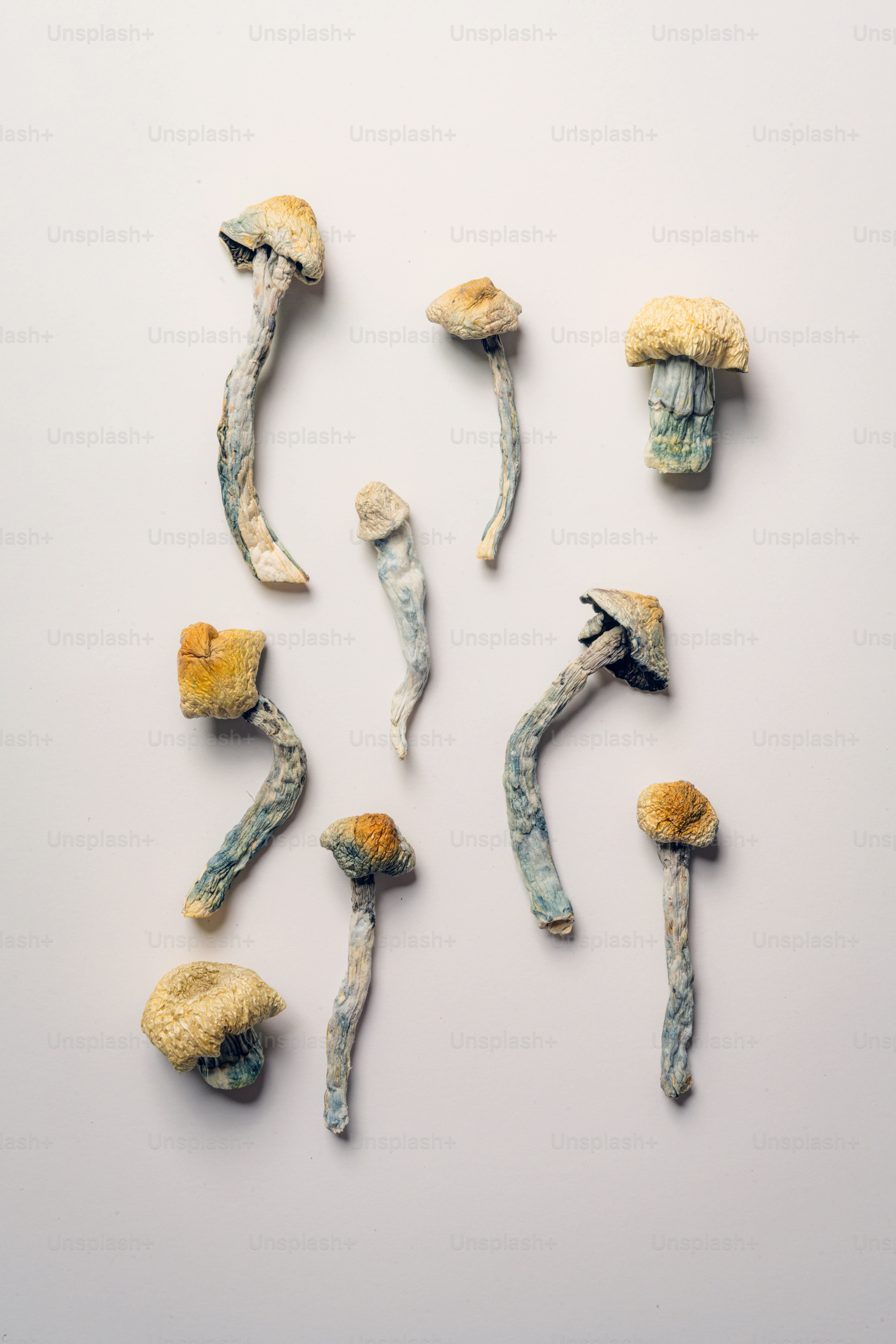 a group of mushrooms sitting on top of a table