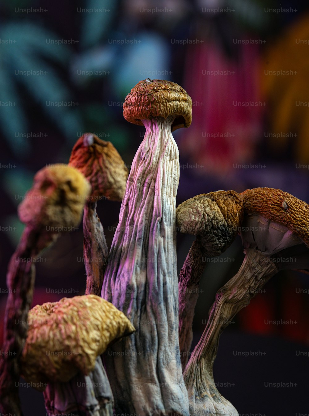um grupo de cogumelos coloridos sentados em cima de uma mesa