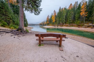 a wooden bench sitting on top of a sandy beach