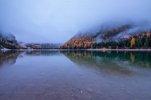 Ein Gewässer, umgeben von Bergen und Bäumen