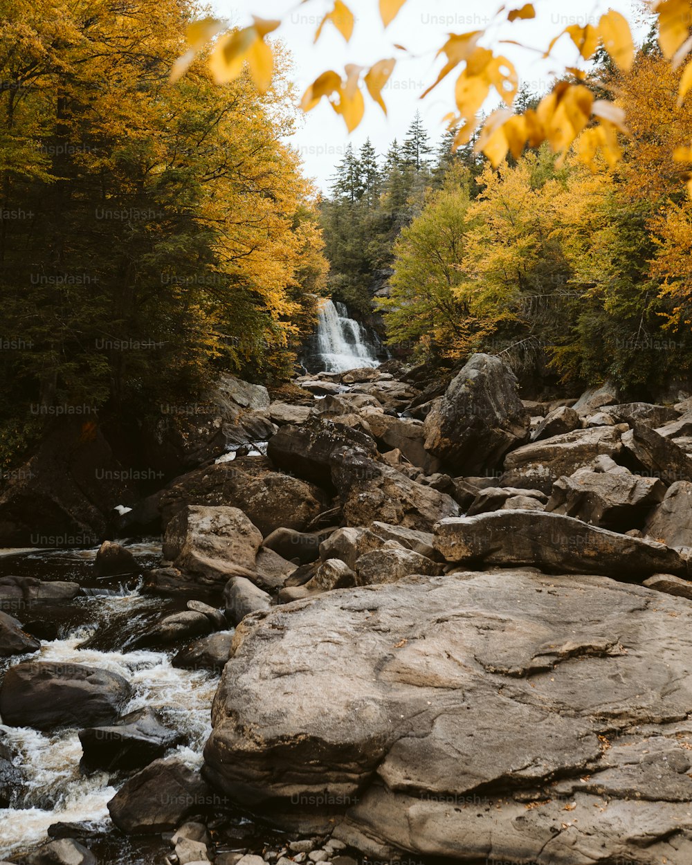 un río que corre a través de un bosque lleno de muchas rocas