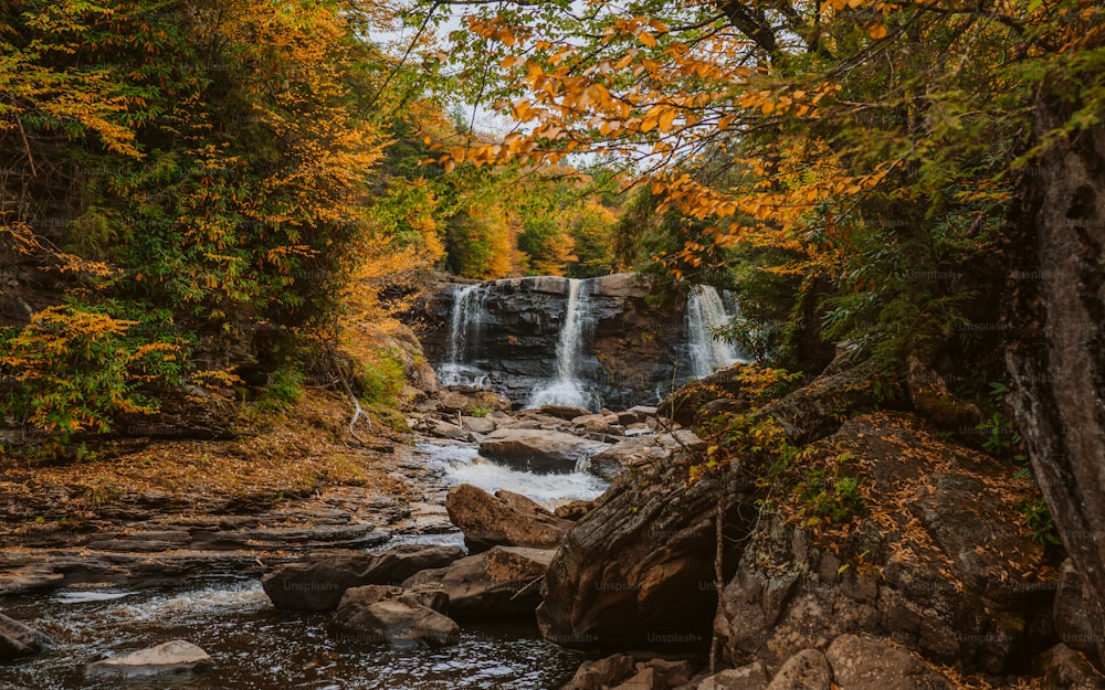 a small waterfall in the middle of a forest