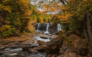 a small waterfall in the middle of a forest