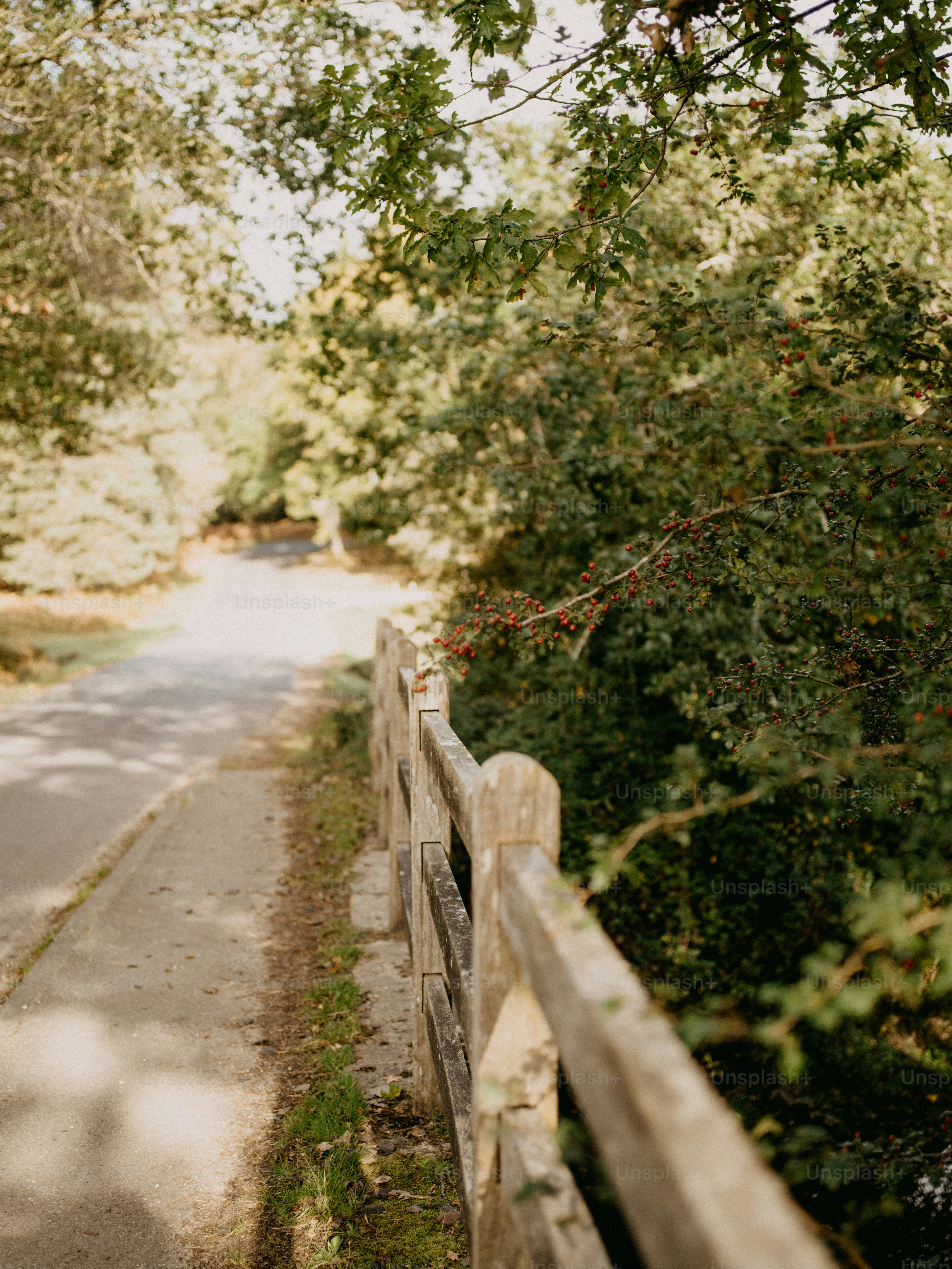 a wooden fence sitting next to a lush green forest