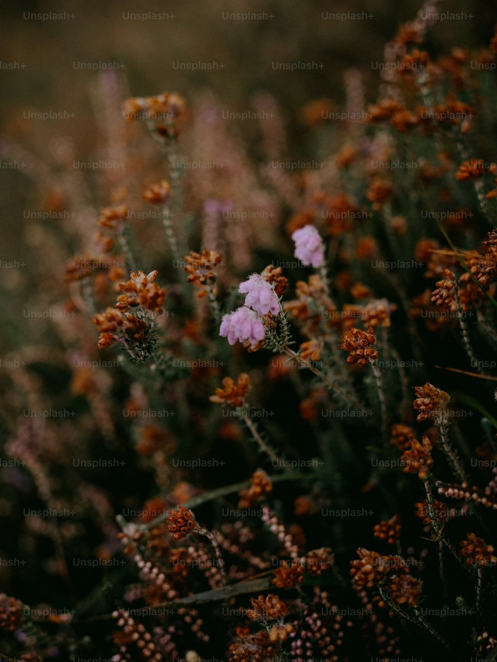 ein Blumenstrauß, der im Gras liegt