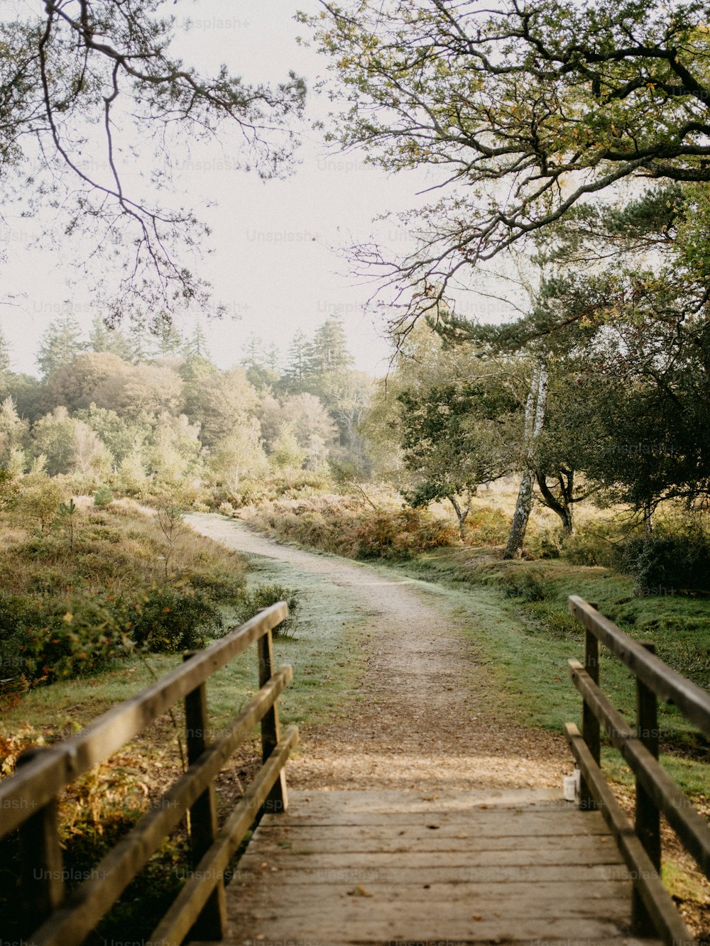 a wooden bridge over a dirt path leading to a forest